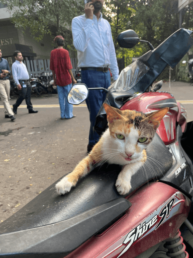 jade in Andheri East